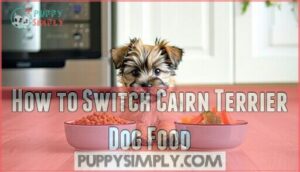 how to switch cairn terrier dog food
