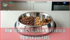 how to switch german wirehaired pointer dog food