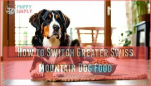 how to switch greater swiss mountain dog food