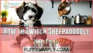 how to switch sheepadoodle dog food