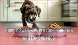 how to switch wirehaired pointing griffon dog food