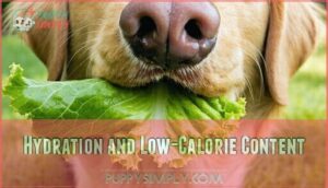 hydration and low-calorie content