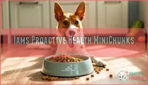 iams proactive health minichunks