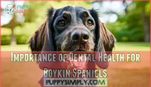 importance of dental health for boykin spaniels