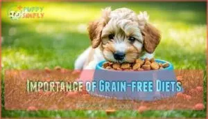 importance of grain-free diets importance of grain-free diets