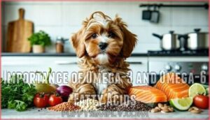 importance of omega-3 and omega-6 fatty acids