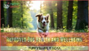 improved dog health and wellbeing