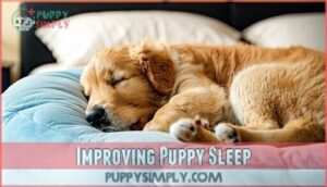 improving puppy sleep