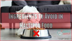 ingredients to avoid in maltipoo food