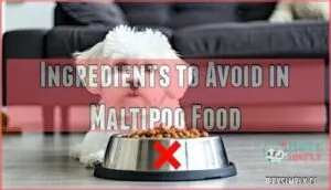 ingredients to avoid in maltipoo food ingredients to avoid in maltipoo food