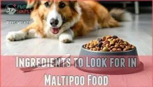 ingredients to look for in maltipoo food