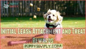initial leash attachment and treat rewards