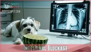 intestinal blockage