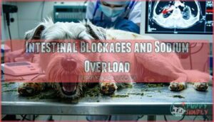 intestinal blockages and sodium overload