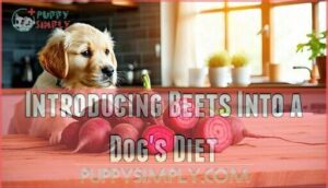 introducing beets into a dog's diet