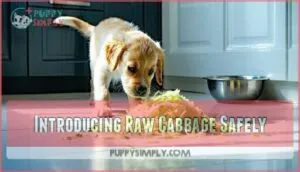 introducing raw cabbage safely
