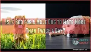 is it bad for a male dog to mate more than twice a day