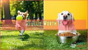 is ollie worth it