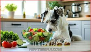 it's low fat