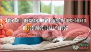 jack chi lifespan