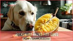 jackfruit risks for dogs