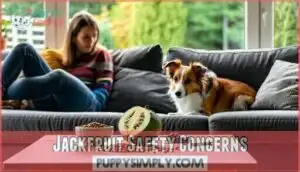 jackfruit safety concerns