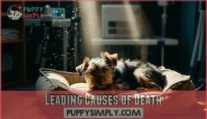 leading causes of death leading causes of death
