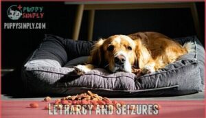 lethargy and seizures