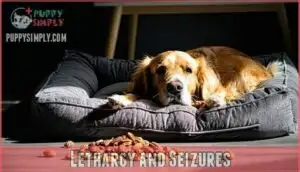 lethargy and seizures lethargy and seizures
