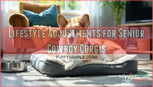 lifestyle adjustments for senior cowboy corgis