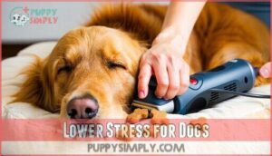 lower stress for dogs