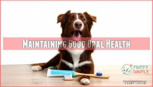 maintaining good oral health