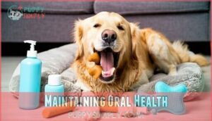 maintaining oral health