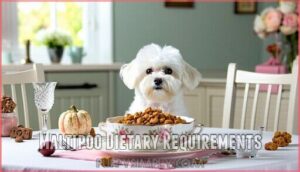 maltipoo dietary requirements