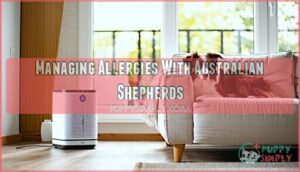 managing allergies with australian shepherds