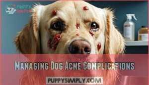 managing dog acne complications