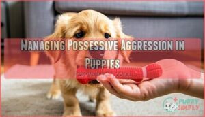 managing possessive aggression in puppies