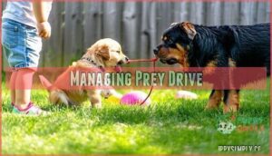 managing prey drive