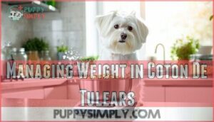 managing weight in coton de tulears