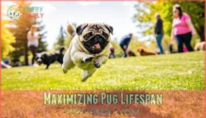maximizing pug lifespan