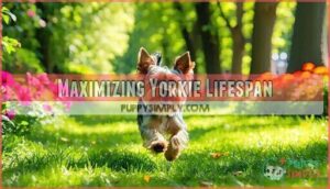 maximizing yorkie lifespan