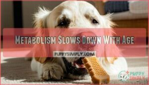 metabolism slows down with age
