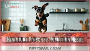 miniature pinscher nutrition needs