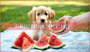 moderation importance