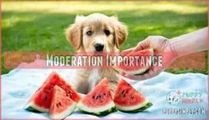moderation importance