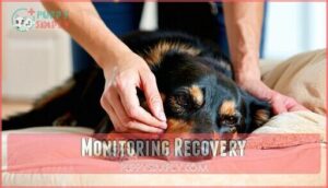 monitoring recovery