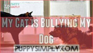 my cat is bullying my dog