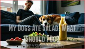 my dogs ate salad, what should i do