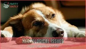 neurological issues neurological issues