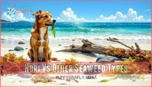 nori vs other seaweed types